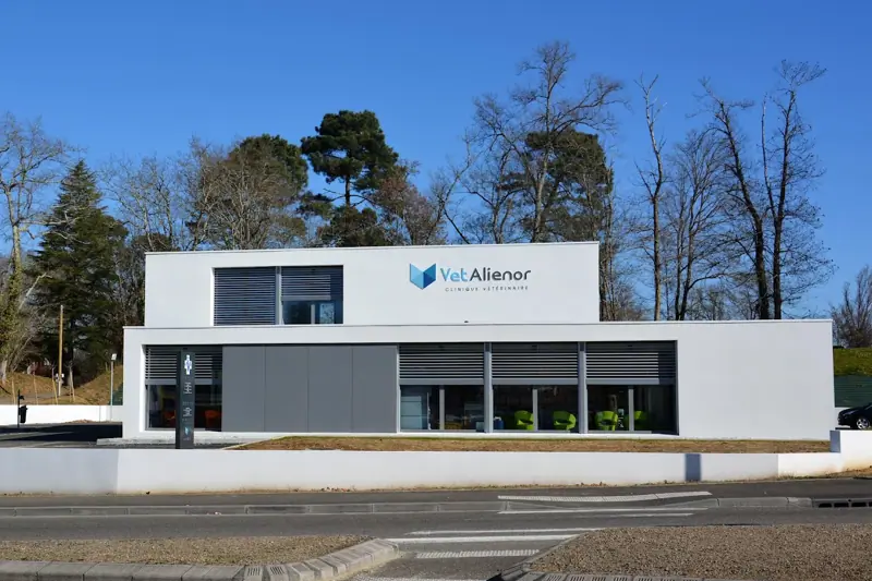 VETALIENOR - AUXILIAIRE SPECIALISE VETERINAIRE (H/F) - CDD image