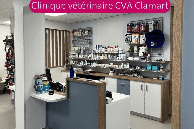 HAUTS-DE-SEINE - CVA - VETERINAIRE CANIN EN CDI (H/F) image