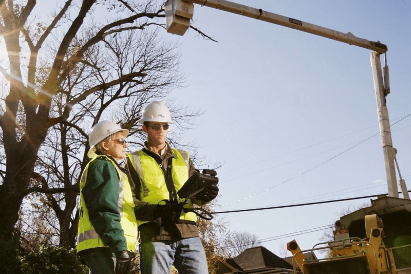 Contract Manager – Vegetation & Traffic Management image