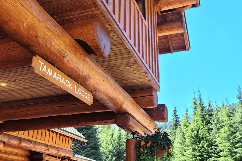 Front Desk Attendant image