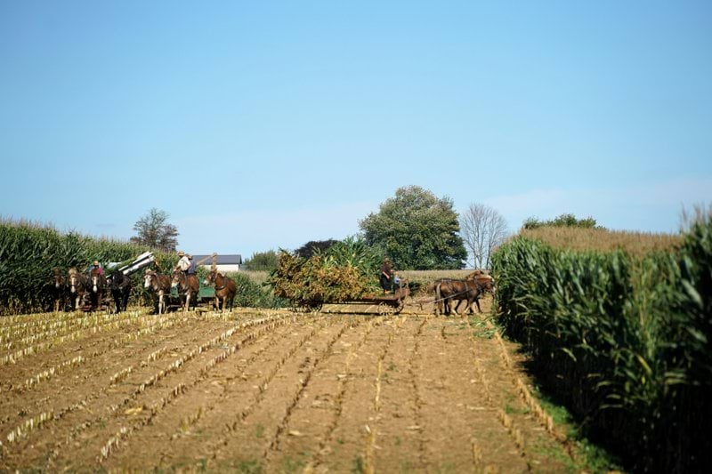 Auxiliar Administrativo/a image