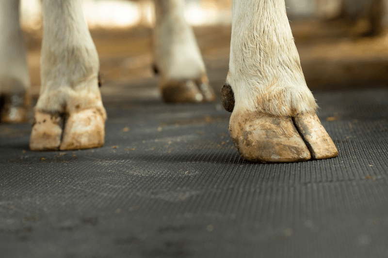 Kundansvarig - Ransuco Oy image