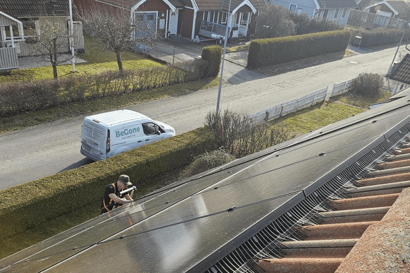 Skadedjurstekniker -  sommar image