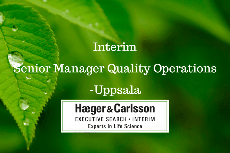 Interim - Senior Quality Manager Operations image