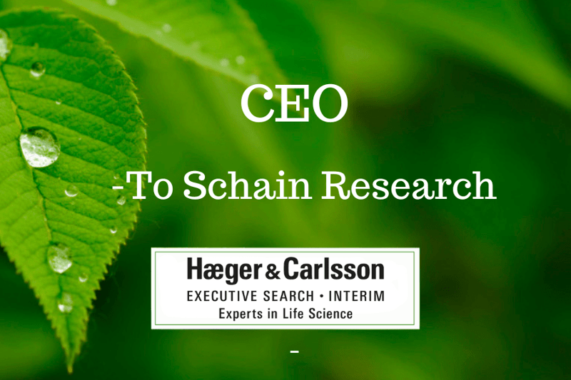 CEO - Schain Research image