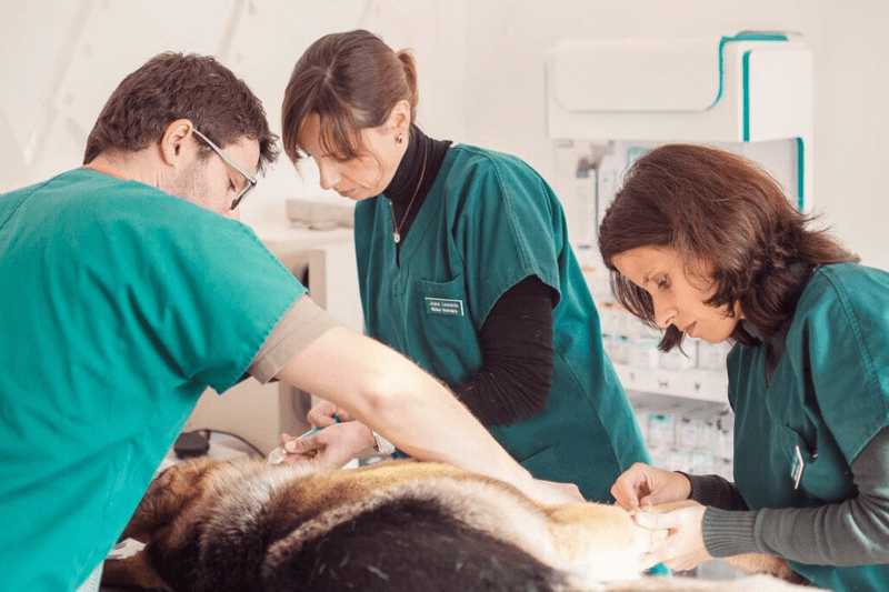 Recepcionista : Hospital Bluecare Partners image