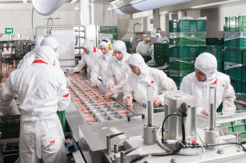 Ayudante de planta, operarios de producción, ayudantes de obra image