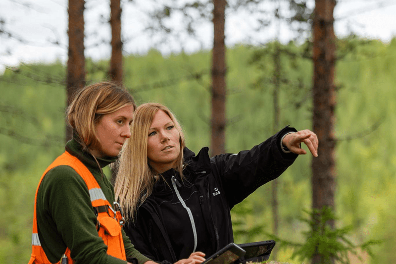 Systemutvecklare image