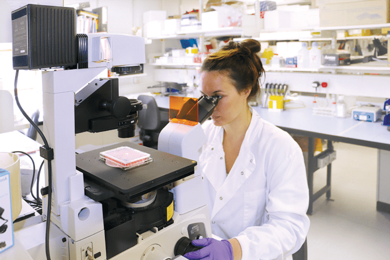 Scientist in laboratory using microscope