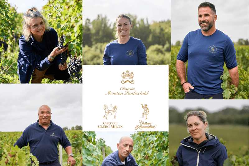 Nos vignerons
