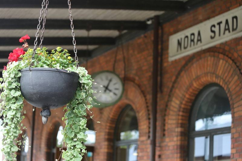 A plant hanging from a chain in front of a building