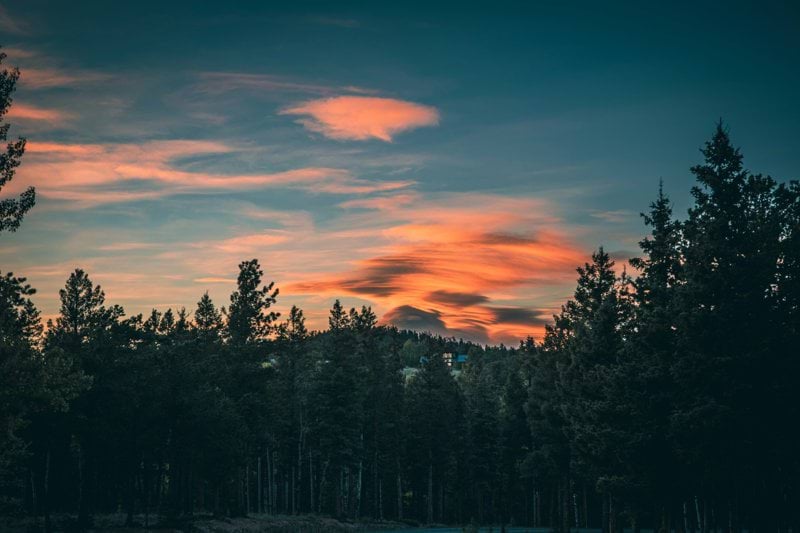 a sunset over a forest filled with lots of trees