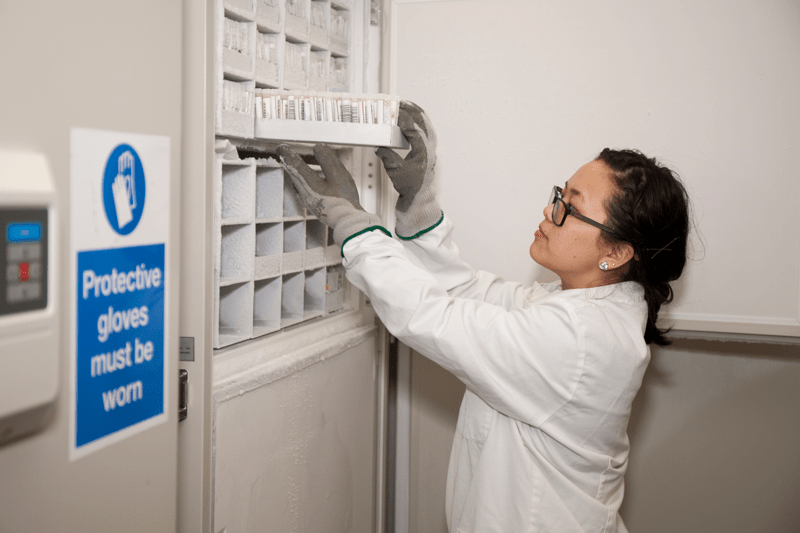 Scientist in laboratory placing tray of samples on a shelf