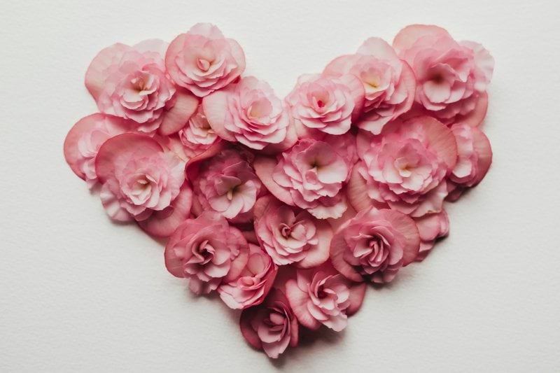 a heart made of pink flowers on a white background