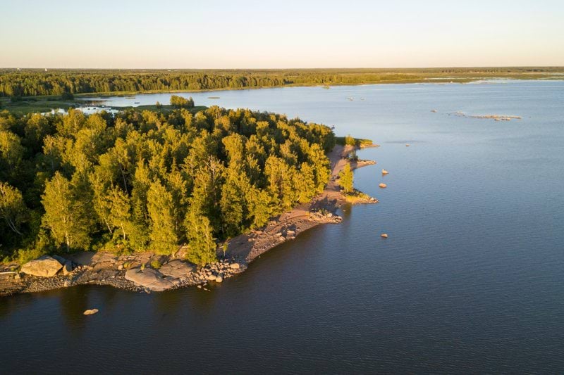 a large body of water surrounded by trees