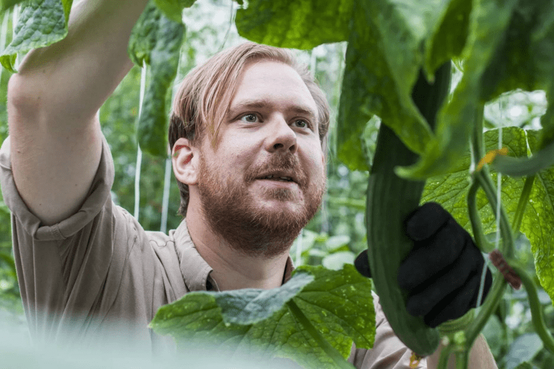 Bild på studerande arbetar praktiskt i växthus