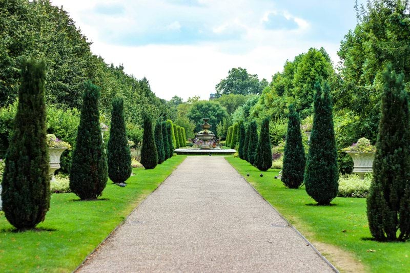 pathway between trees