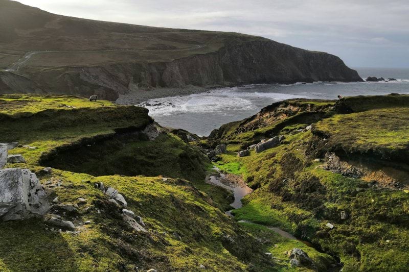 green grass during daytime