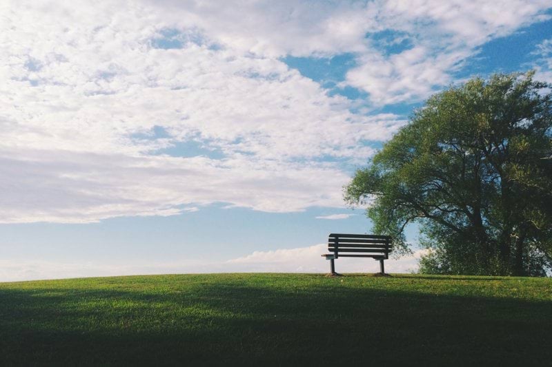 black wooden bench near green leaf trees under white clouds during daytime