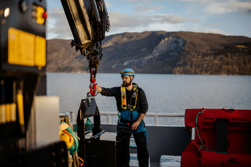 Edelfarm i høstvær