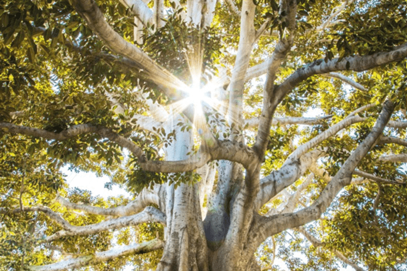 Sustainable ABGi Consultin