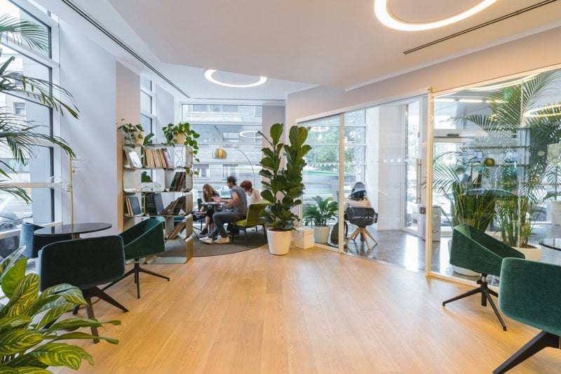 modern lounge interior with plants and chairs