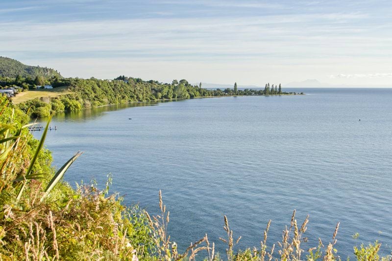 a body of water surrounded by trees and bushes
