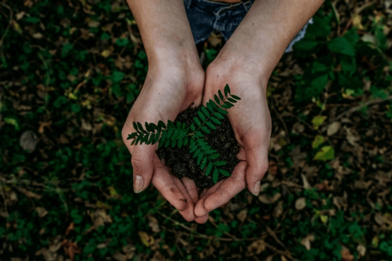 Être un acteur respectueux de son environnement