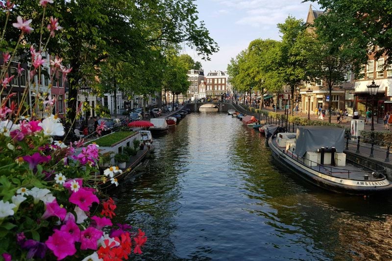 river between green trees and buildings during daytime