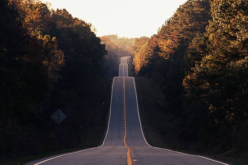 asphalt road between trees