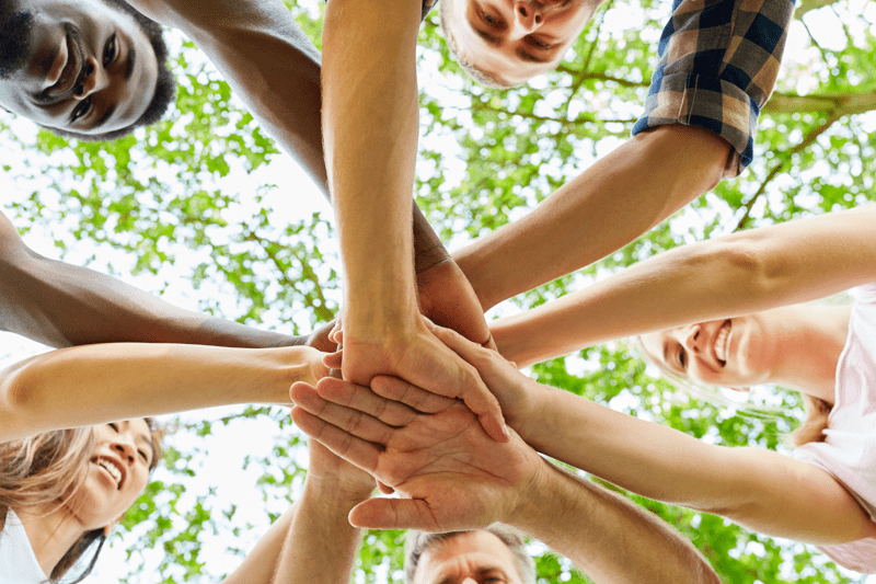 Vue en contre-plongée de plusieurs collaborateurs d'origines diverses unissant leurs mains au centre, sous la canopée d'arbres verdoyants.