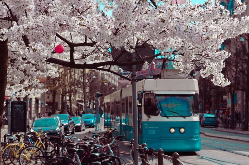 a blue and white bus driving down a street