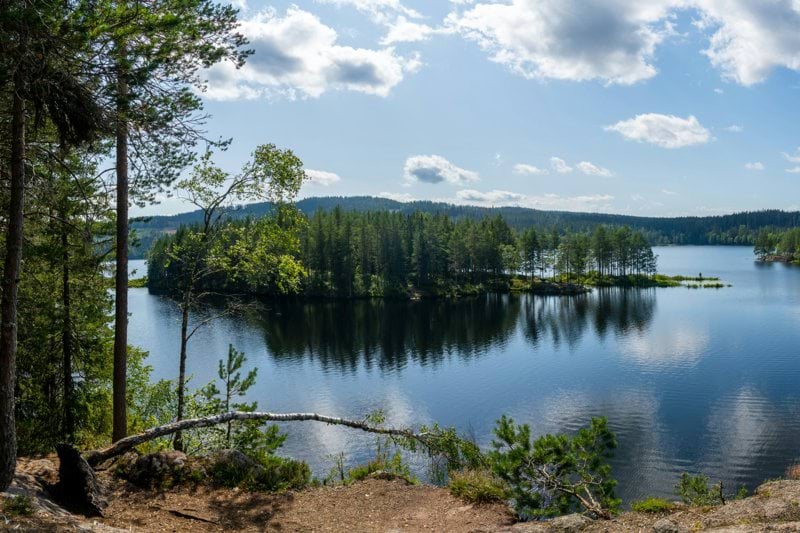 green trees beside lake under blue sky during daytime