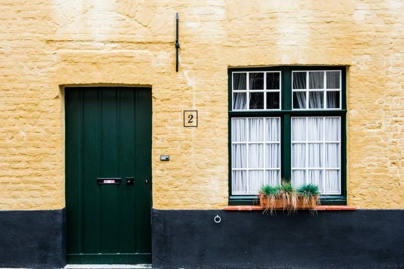 green plant near door