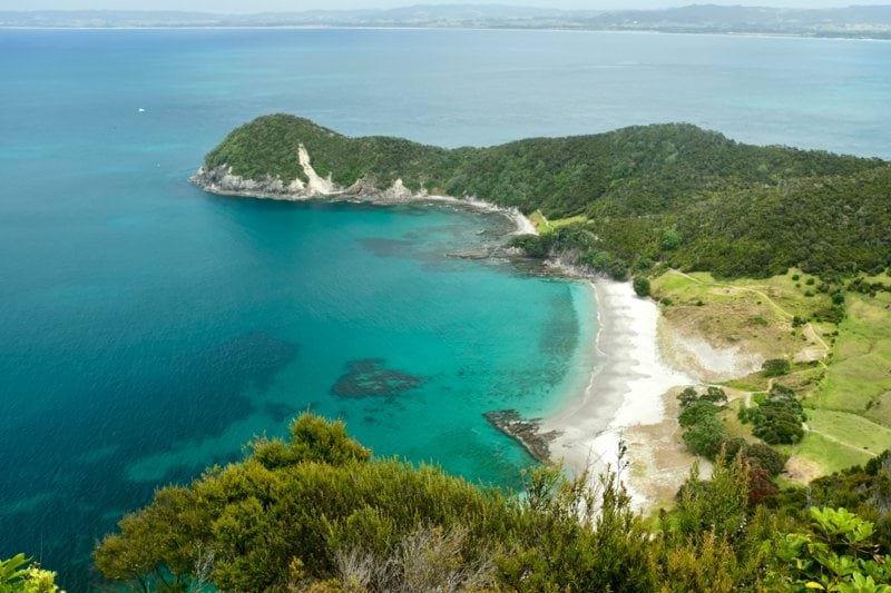 a beach with trees and a body of water