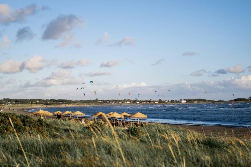 flock of birds flying over the sea during daytime