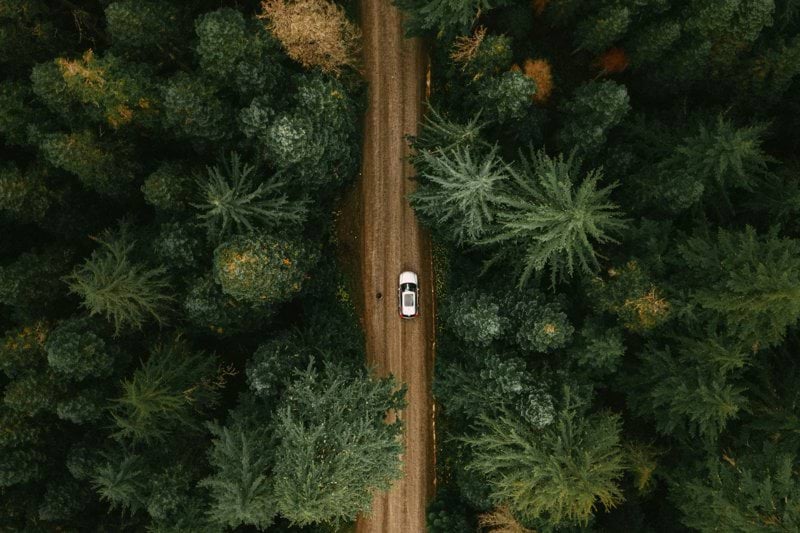 A car driving down a dirt road through a forest