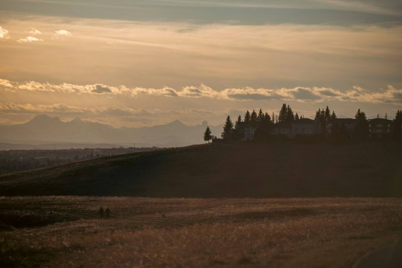 Warm sunset over a hazy landscape and trees.