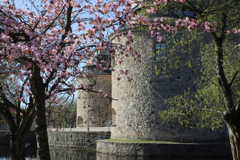 a castle with a moat surrounded by trees