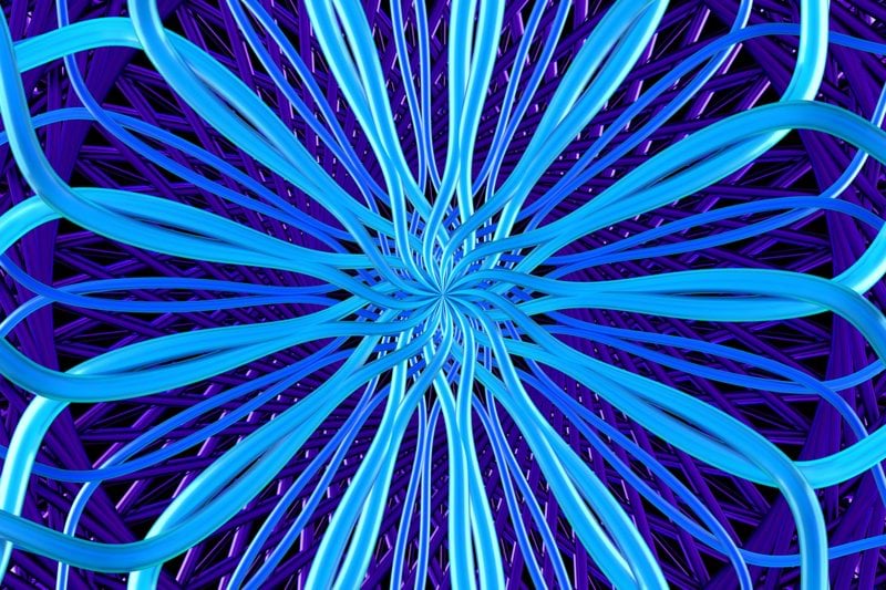 A close up of a blue flower on a purple background
