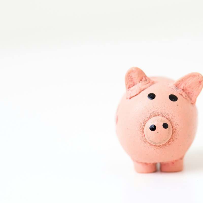 pink pig figurine on white surface