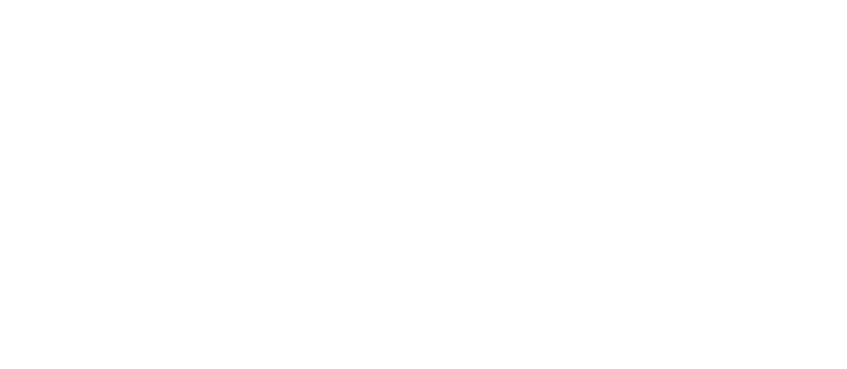 Sailfuture