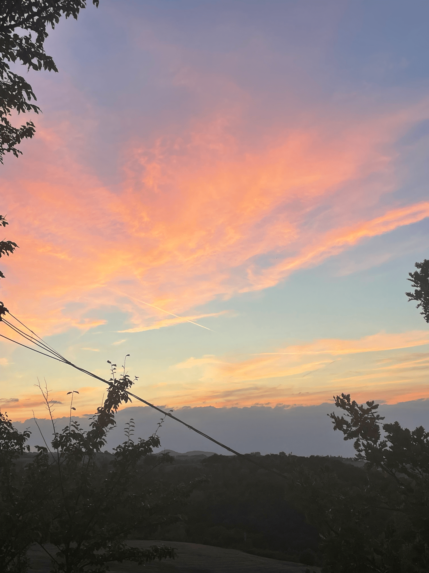 blue, purple, pink sky with trees