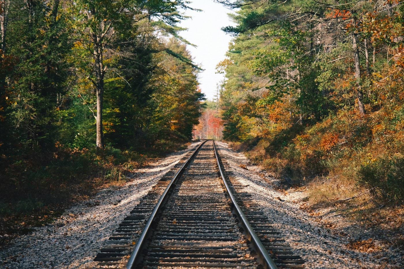 train rail between green trees during daytime