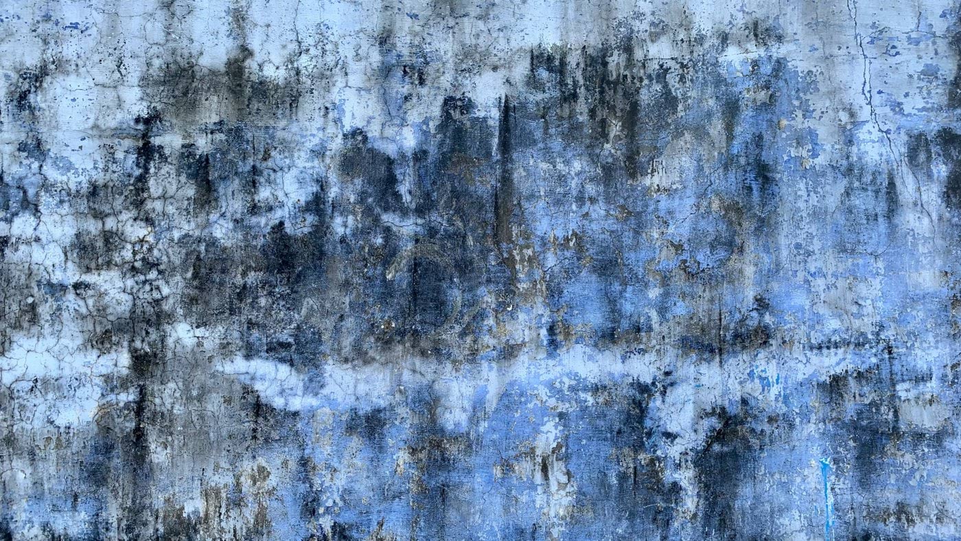 a window covered in snow