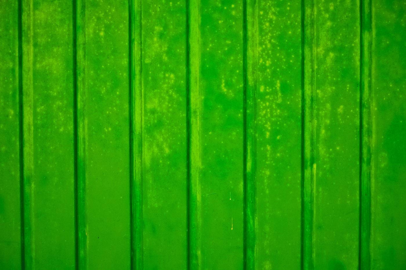 green wooden door with white line