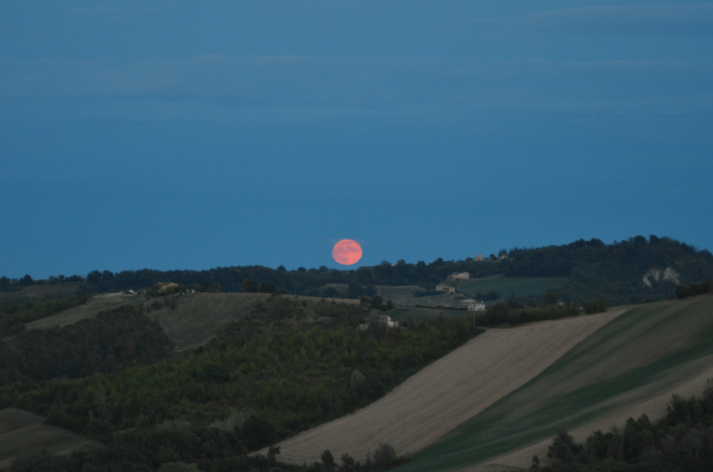 pink moon, dark blue background