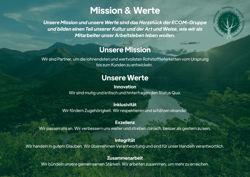 ECOM Values German