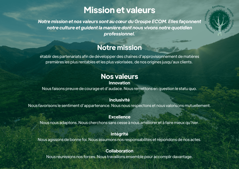 ECOM Values French