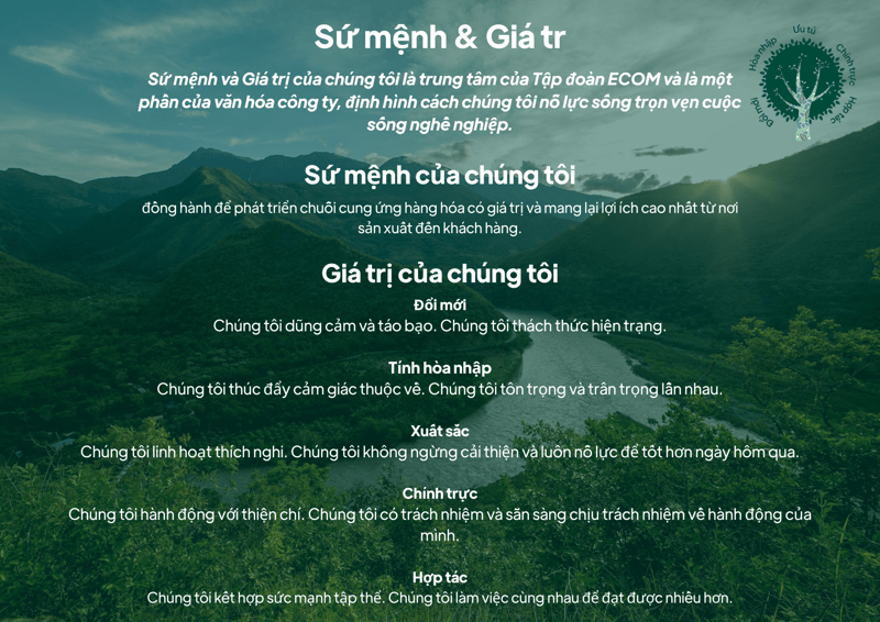 ECOM Values Vietnamese